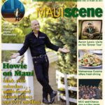 Maui Scene